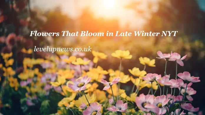 Flowers That Bloom in Late Winter NYT