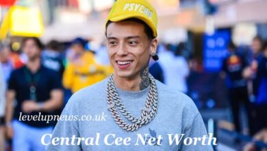 Central Cee Net Worth