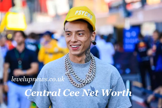 Central Cee Net Worth