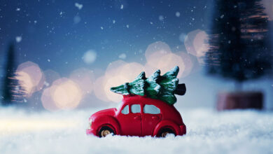 driving home for Christmas