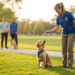 Dog Training Near Me