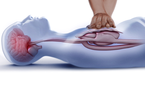 How CPR Works Scientifically: What Every Learner Needs Today