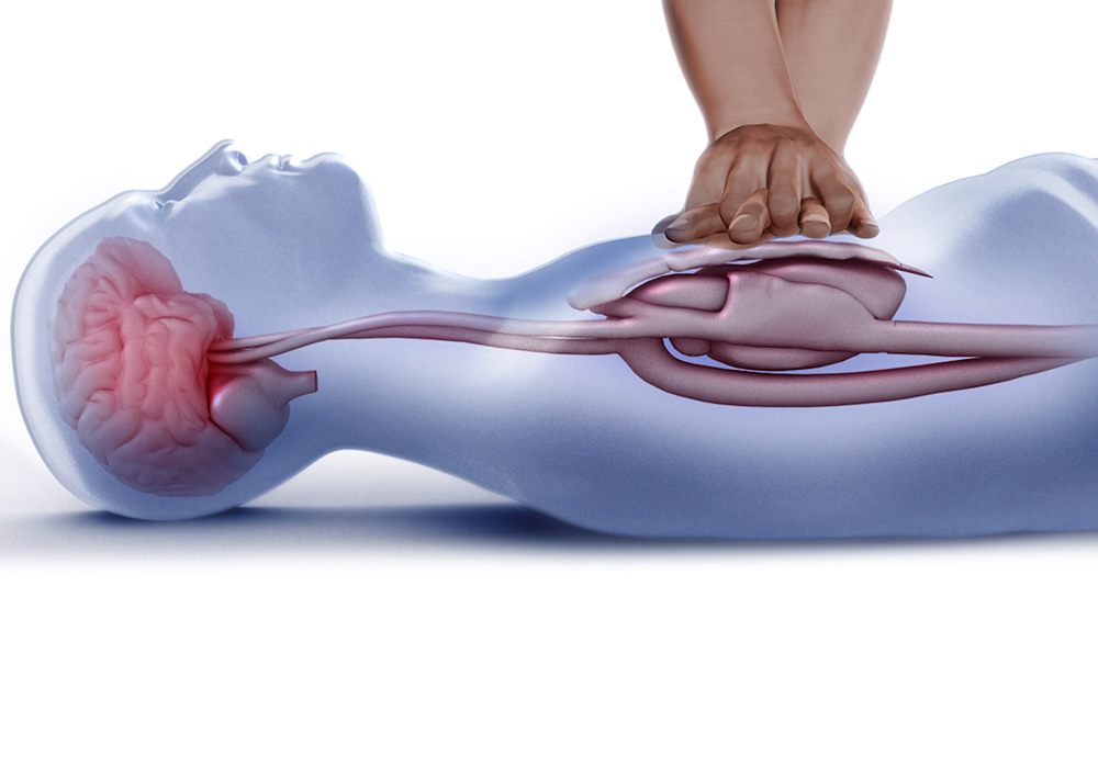 How CPR Works Scientifically: What Every Learner Needs Today