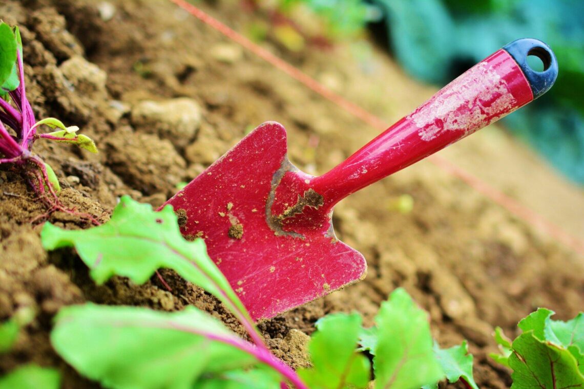 Innovative Gardening Tools Transforming Outdoor Spaces