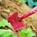 Innovative Gardening Tools Transforming Outdoor Spaces